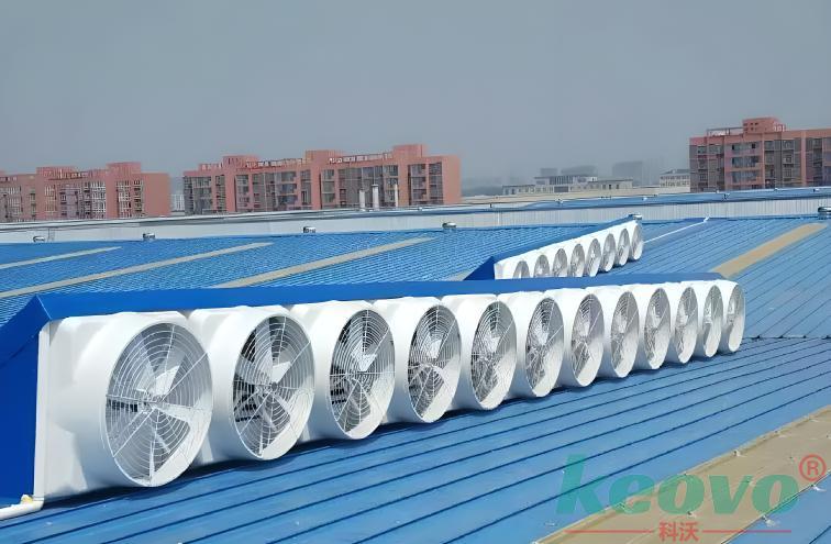 1711089121646057.jpg 08cc27fc-eac7-451d-bba6-34320b8c0556.jpg